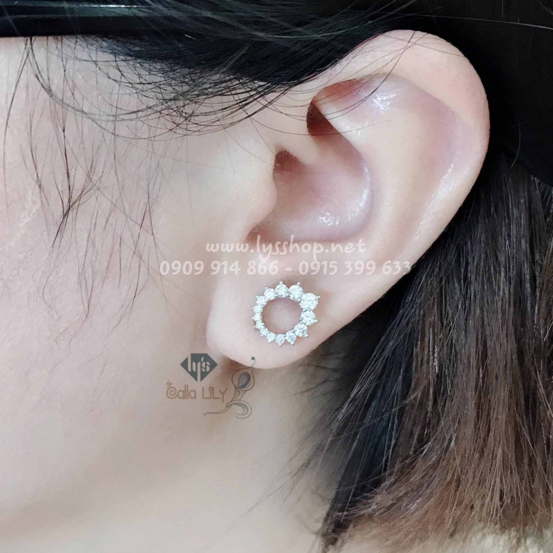 BÔNG KẾT KIM CƯƠNG - N.4604