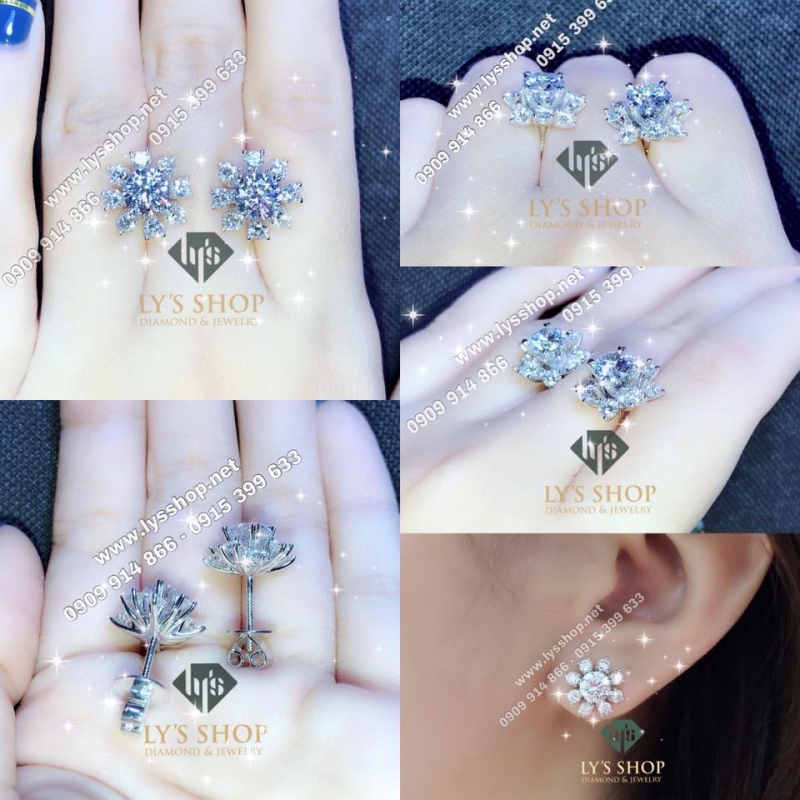 MẪU VỎ BÔNG CHÙM SAN HÔ - N.4809