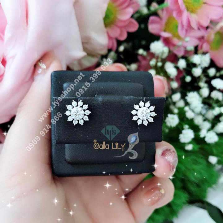 BT KC THIÊN NHIÊN 4LY - N.5004